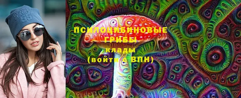 Галлюциногенные грибы Psilocybe  Хабаровск 